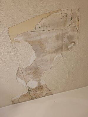 Drywall Repair in Palisade Park, NJ (1)